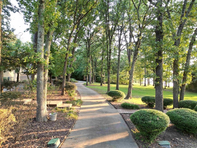 view of community featuring a yard