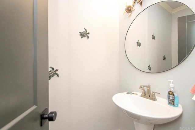 bathroom featuring sink