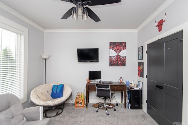 office space with carpet, ceiling fan, and crown molding