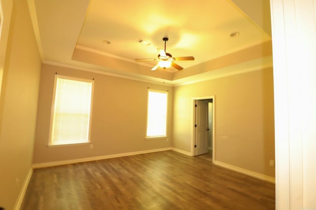 spare room featuring wood-type flooring, a raised ceiling, and ceiling fan