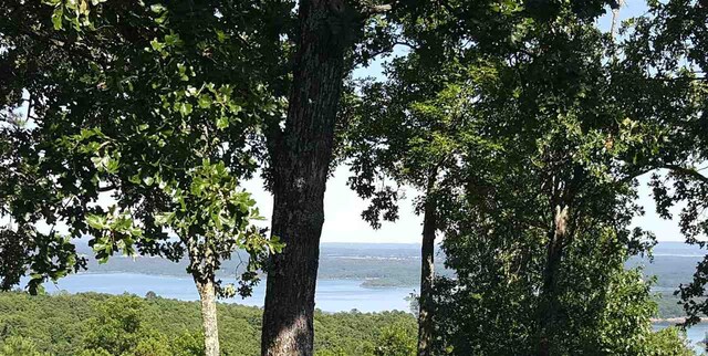 Listing photo 3 for 119 Osage Point Dr, Fairfield Bay AR 72088