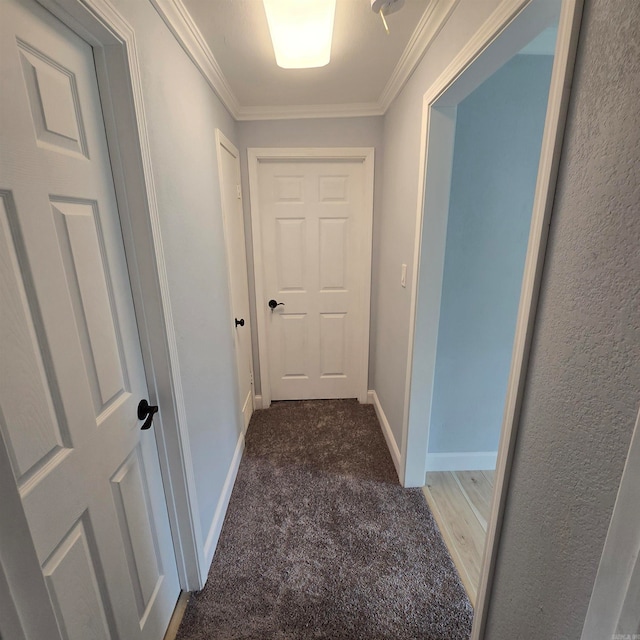 hall with carpet flooring and crown molding