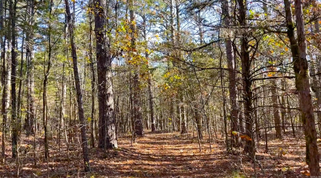 LOT31 Shiloh Lndg, Pointe, Greers Ferry, AR 72067