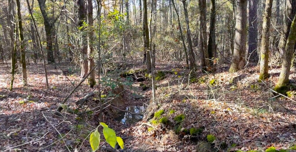 LOT31 Shiloh Lndg, Pointe, Greers Ferry, AR 72067