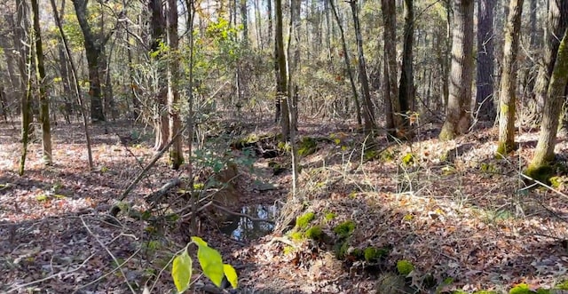 LOT31 Shiloh Lndg, Pointe, Greers Ferry, AR 72067