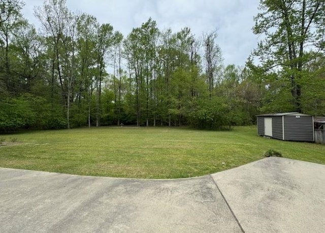 view of yard with a storage unit