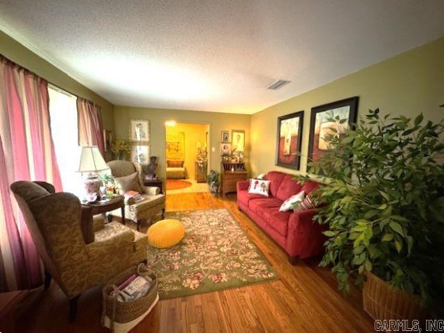 living room with hardwood / wood-style flooring and a textured ceiling