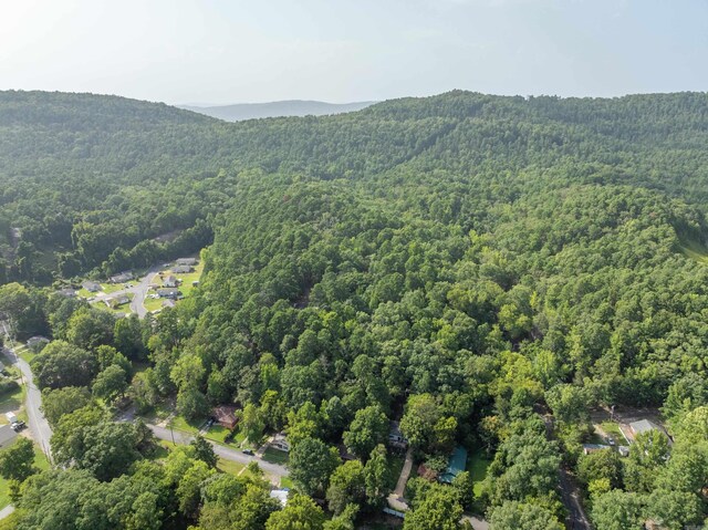000 Maple Ter, Hot Springs, AR 75201