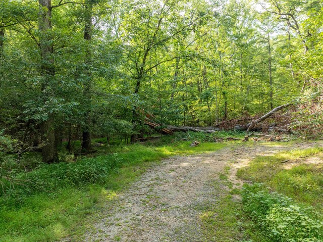 000 Maple Ter, Hot Springs, AR 75201