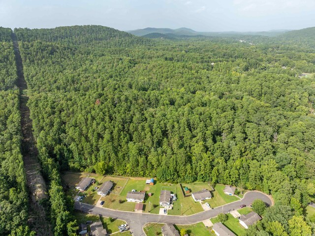 000 Maple Ter, Hot Springs, AR 75201