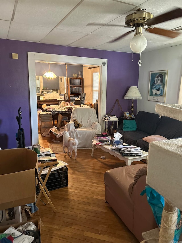 living room with a drop ceiling, ceiling fan, and hardwood / wood-style floors