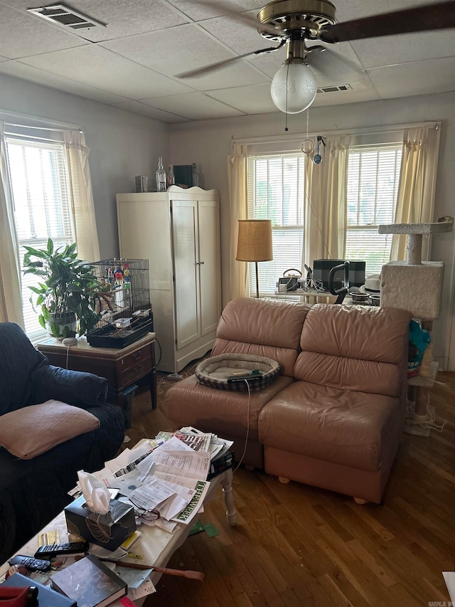 living room with a paneled ceiling, a healthy amount of sunlight, ceiling fan, and hardwood / wood-style floors