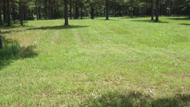 00 Morgan Rd, Rose Bud AR, 72137 land for sale