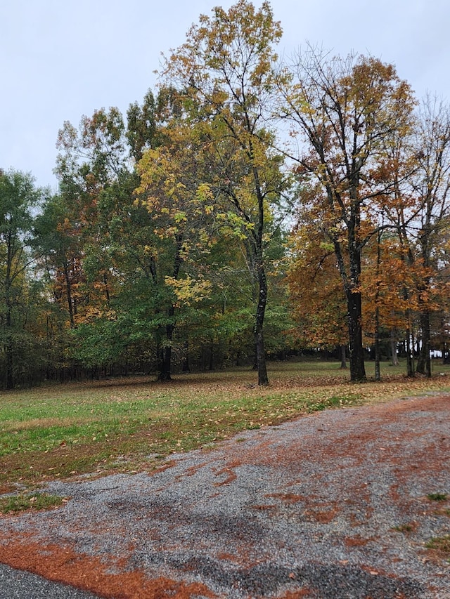 LOT6 Waters Edge Dr, Taylor AR, 71845 land for sale