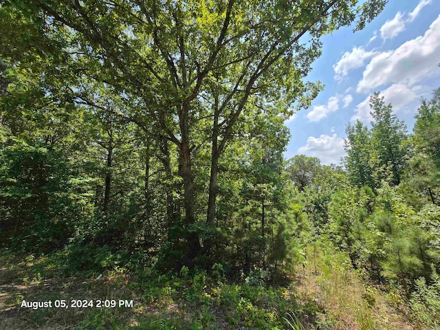 0 Floral Rd, Banner AR, 72523 land for sale