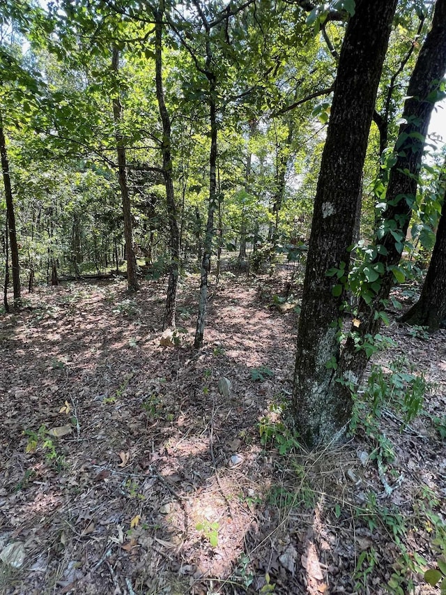 Listing photo 2 for TBD Murcia Way, Hot Springs Village AR 71909