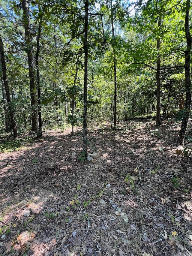 Listing photo 3 for TBD Murcia Way, Hot Springs Village AR 71909