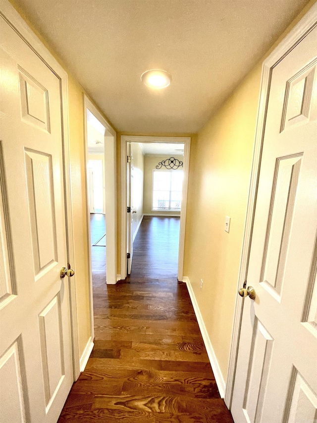 corridor featuring dark hardwood / wood-style flooring