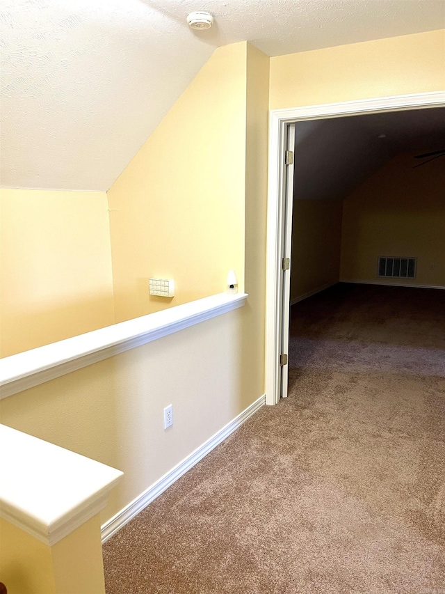 additional living space featuring lofted ceiling, carpet, and a textured ceiling