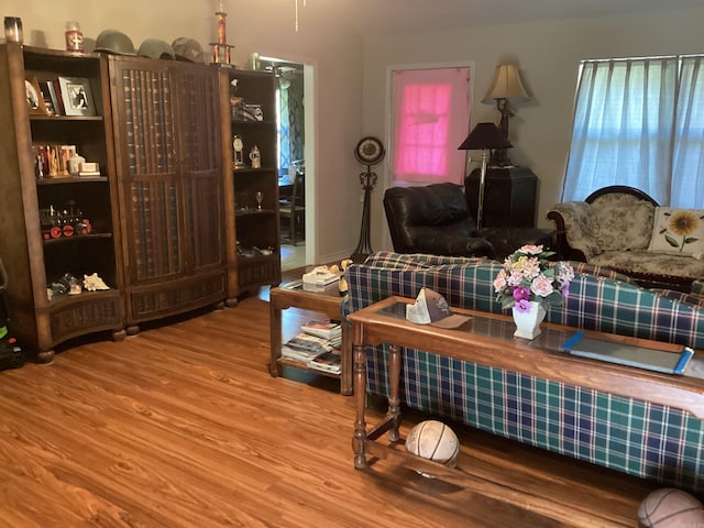 living room with wood-type flooring