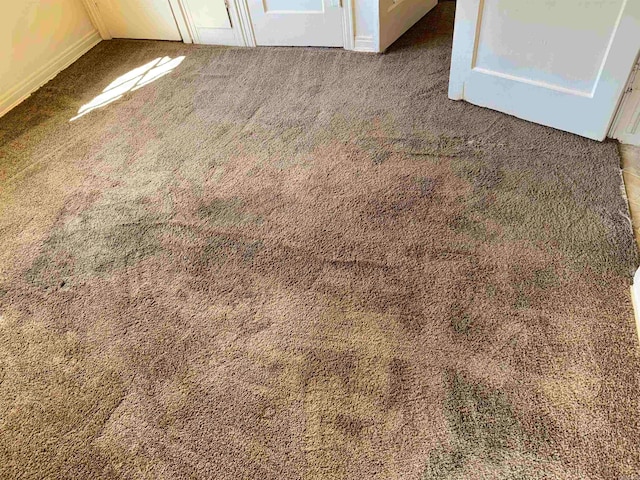 interior details featuring carpet floors