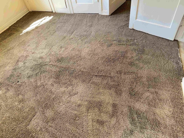 1107 Reynolds St, Clarksville, AR 72830 - room details with carpet floors