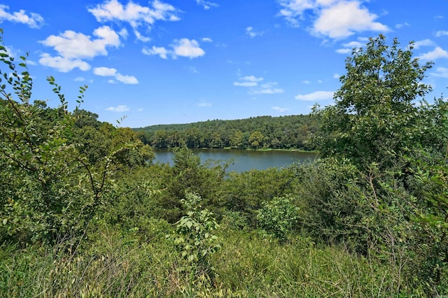 property view of water