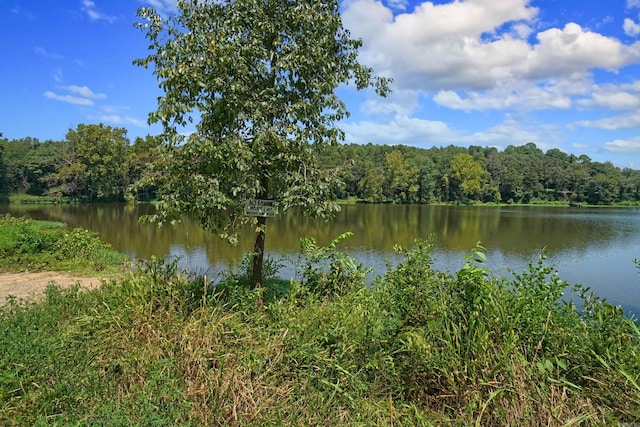 property view of water