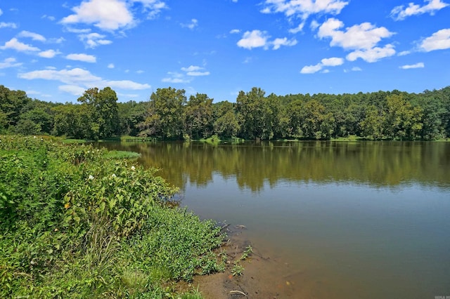 view of water feature