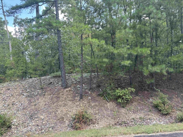 Listing photo 2 for 00 Cetrero Ln, Hot Springs Village AR 71909