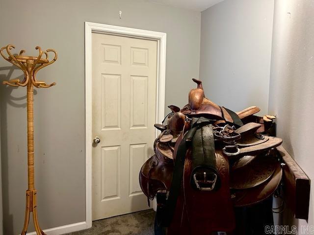 1334 Sutterfield Rd, Fox, AR 72051 - detailed view of carpet