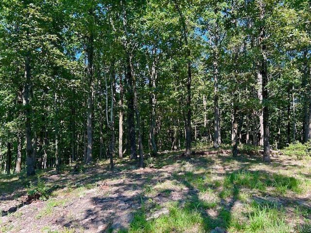 1334 Sutterfield Rd, Fox, AR 72051 - view of tree filled area