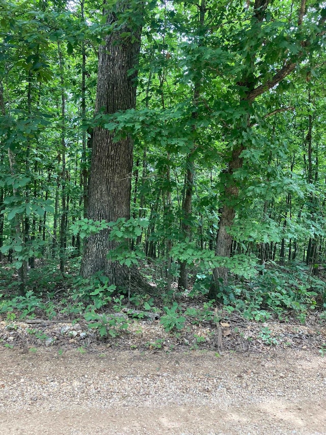 1859 Springwood Rd, Hardy AR, 72542 land for sale