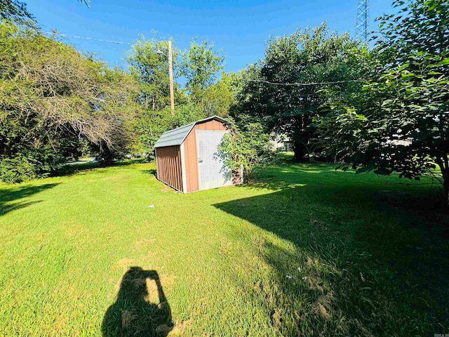 view of yard with a storage unit