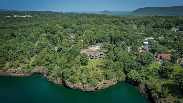 birds eye view of property with a water and mountain view