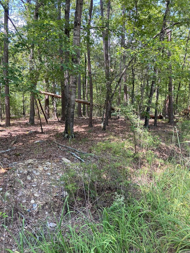 13 Reata Way, Hot Springs Village AR, 71909 land for sale