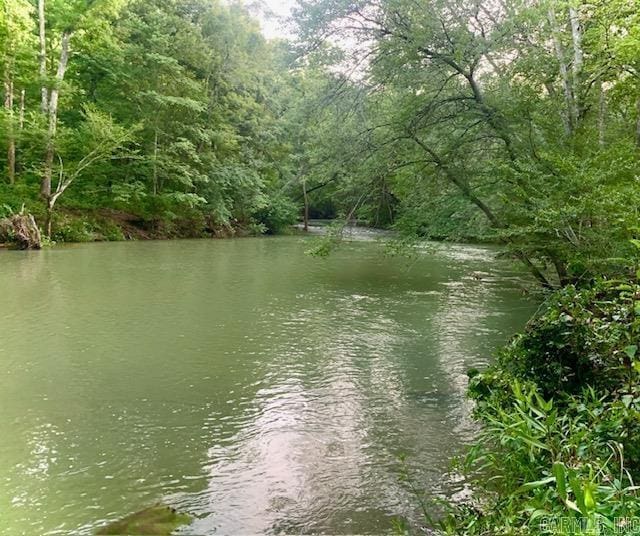 view of water feature featuring a wooded view