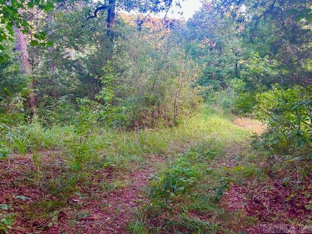 view of landscape featuring a wooded view