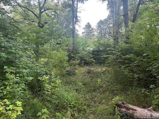 view of local wilderness with a forest view