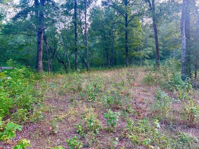 view of local wilderness featuring a forest view