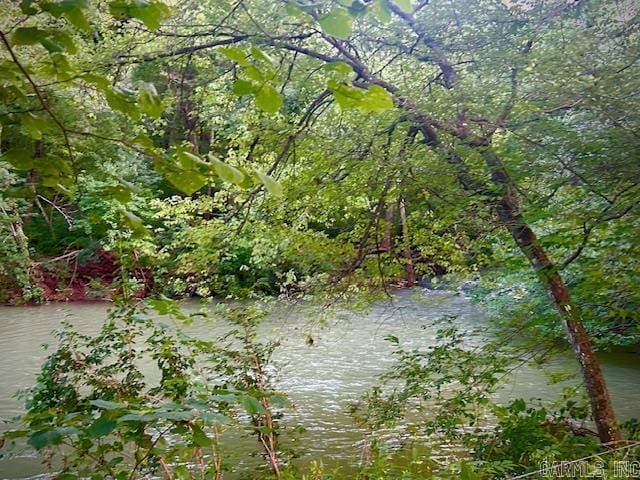 property view of water featuring a view of trees