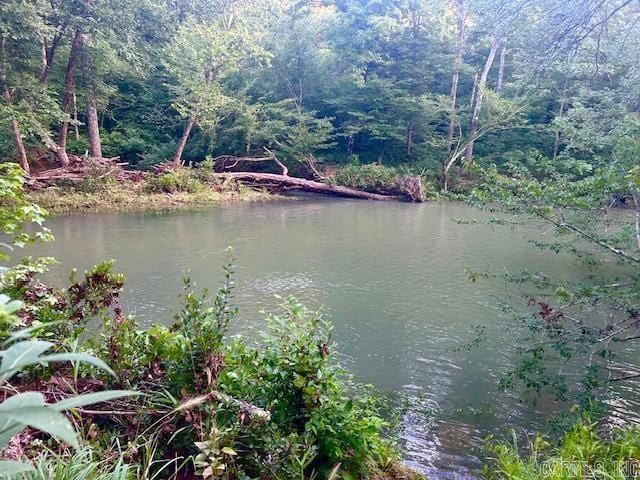 view of water feature featuring a wooded view