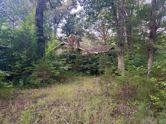 view of local wilderness with a forest view