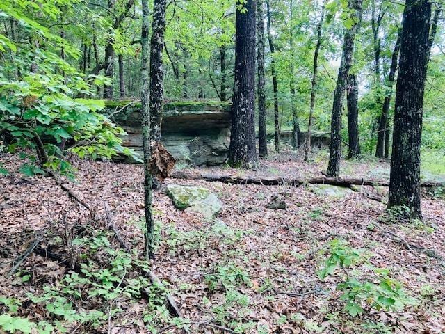 0 Dwelle Rd, Old Joe AR, 72658 land for sale