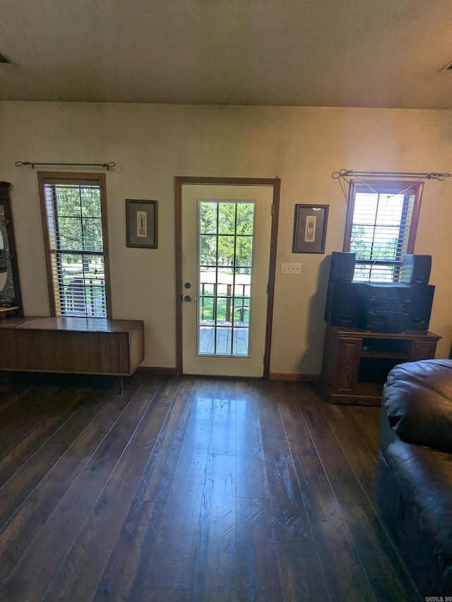 entryway featuring dark hardwood / wood-style floors