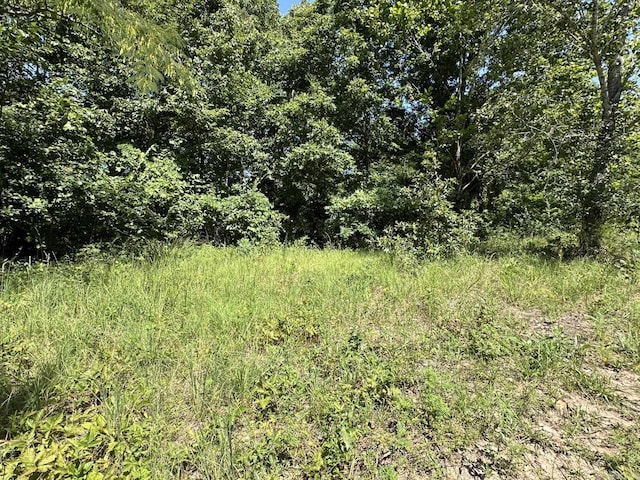 001-03473-001 Bammy Ln, Harriet AR, 72639 land for sale