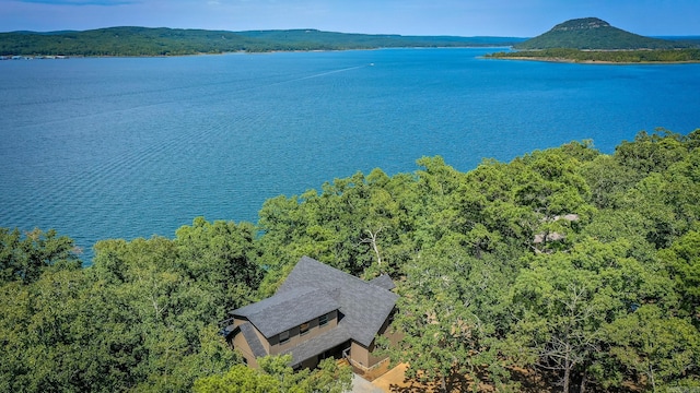 birds eye view of property featuring a water and mountain view