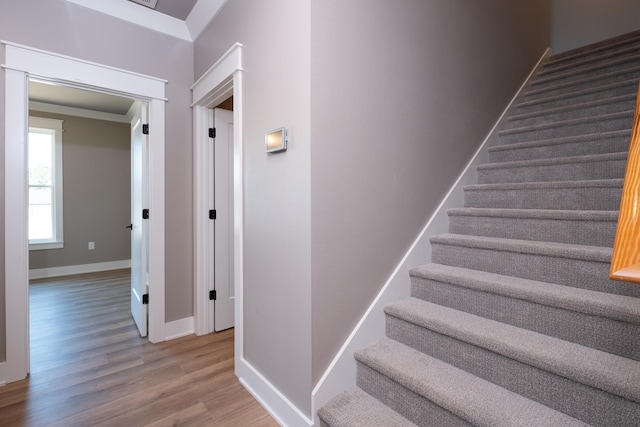 stairway with hardwood / wood-style flooring