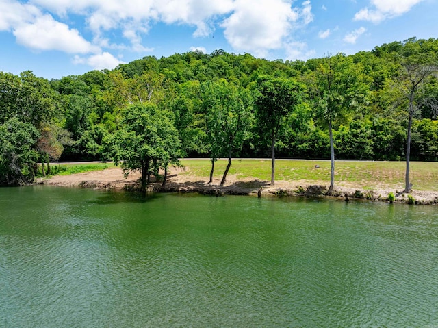 Listing photo 3 for 0 Joe Baker Rd, Batesville AR 72501