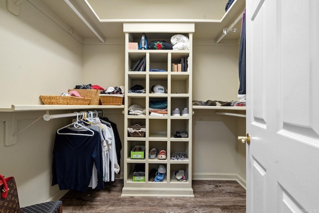 spacious closet featuring dark wood-type flooring